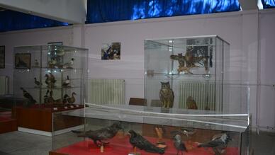 Ege Üniversitesi Tabiat Tarihi Müzesi