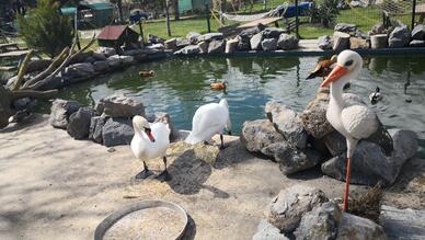 Çatalca Piknik Sefası