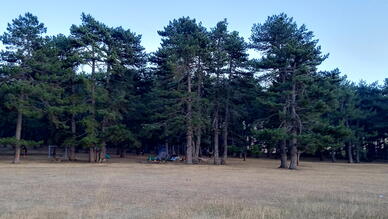 Kocayayla Piknik Alanı