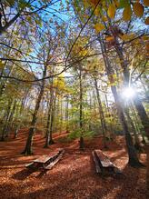 Suuçtu Şelalesi Piknik Alanı