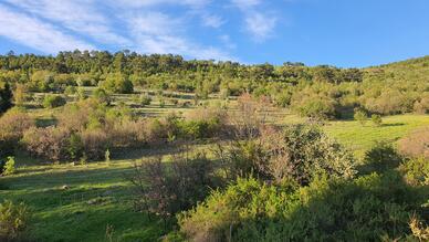 Aluçdağı Tabiat Parkı