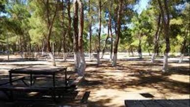 Sarnıç Piknik Alanı