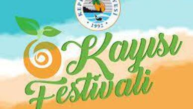 Kepez Kayısı Festivali
