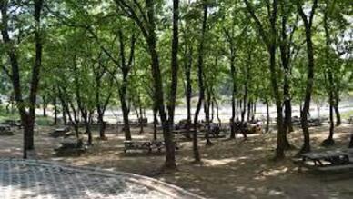 Pendik Kurnaköy Piknik Alanı