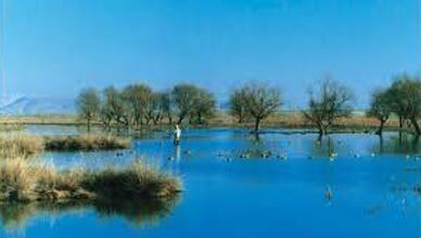 Balıkdamı Kuş Cenneti