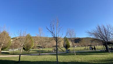 Mamuca Piknik Alanı