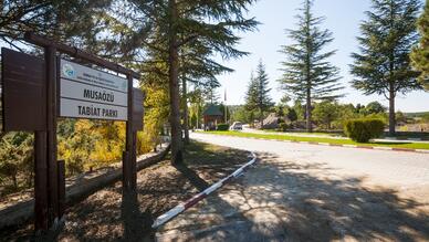 Musaözü Tabiat Parkı