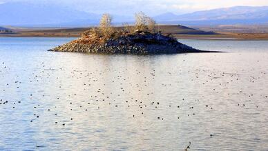 Amasya Kuş Gözlemciliği