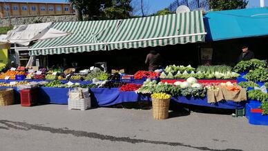 Şile Tohum Takas Şenliği