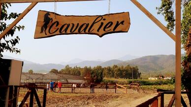Cavalier At Çiftliği