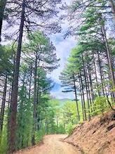 Geleneksel Kazdağı Doğa Yürüyüşü ve Şenlikleri