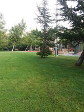 Muhtar Hayrullah Ersayın Parkı