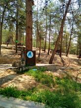 Pamukkale Termal Sağlık Şehir Ormanı