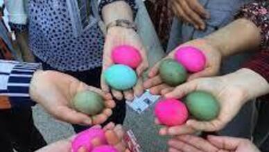 Akçalı Yumurta Bayramı