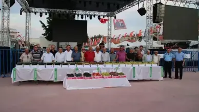 Çal Bağ Bozumu Kültür ve Sanat Festivali