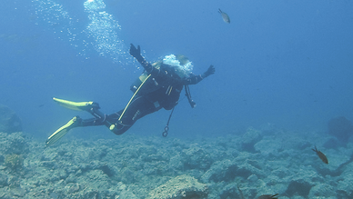 Saroz Dalış Merkezi