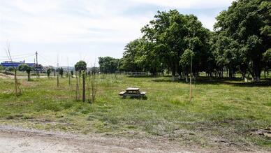 Bolluca Belediyesi Piknik Alanı