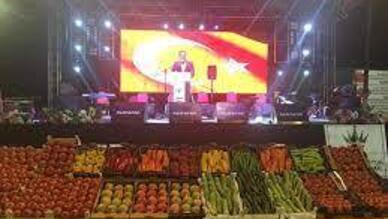 Söğüt Geleneksel Domates ve Kültür Festivali