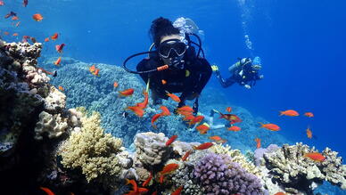 Mersin Dalış Merkezi