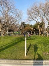 Florya Sosyal Tesisleri