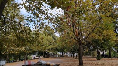 Gözlementepe Mesire Alanı