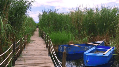 Sultan Sazlığı Kuş Cenneti’nde Kayık Gezisi
