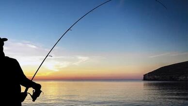 İskenderun ve Arsuz Balık Avı Turları