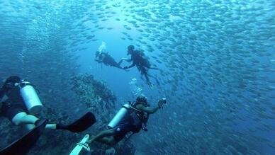 Didim Milet Diving Center