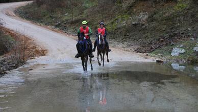 Istranca Binicilik Kulübü