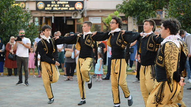 Hayrabolu Ayçiçeği Festivali