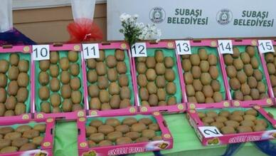 Yalova-Subaşı Kivi Festivali