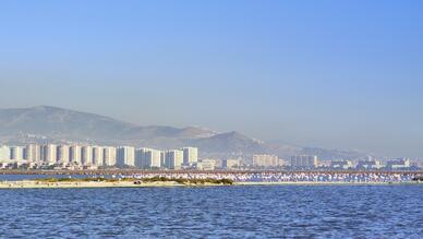 Flamingo Yolu Tekne Turu