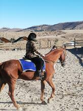 Dinek Dağı Atlı Safari