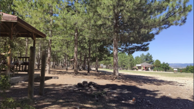 Kent Ormanı Yürüyüş Alanı