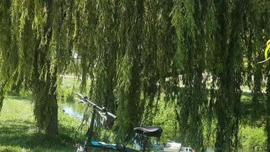 Soğanlı Botanik Park’ta Bisiklet Turu