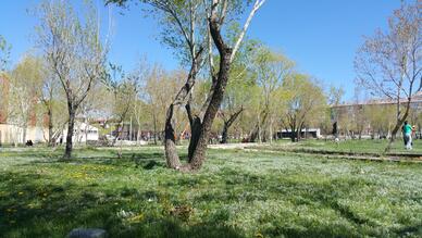 Mehmet Akif Ersoy Parkı