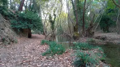 Çamlıca Şelalesi Kamp Alanı