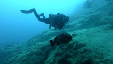 Motif Dalış Merkezi