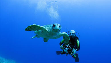 Blue Team Diving Center