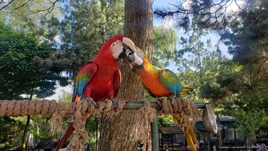 Polonezköy Hayvanat Bahçesi