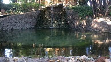 Eskişehir Japon Bahçesi