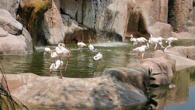 Eskişehir Hayvanat Bahçesi