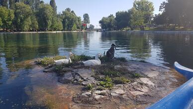 Çifteler Belediye Dalış Kulübü