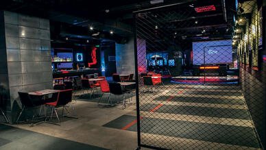 The Game for Big Kids