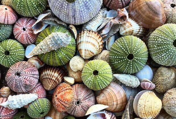 Kalyon Çeşme - Görsel 31