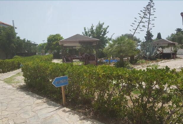 Dream Hotel Ayasaranda - Görsel 14