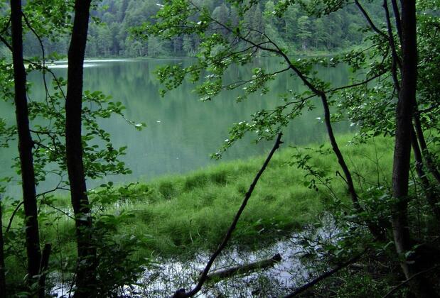 Kuşpuni Dağ Evi - Görsel 28