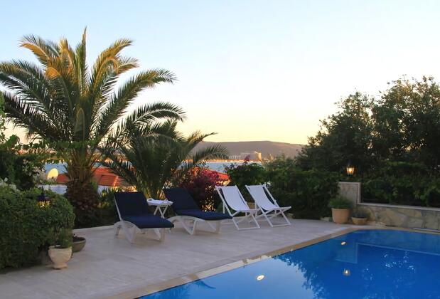 Limonlu Ev Ardıç - Görsel 25