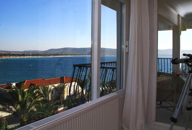 Limonlu Ev Ardıç - Görsel 26