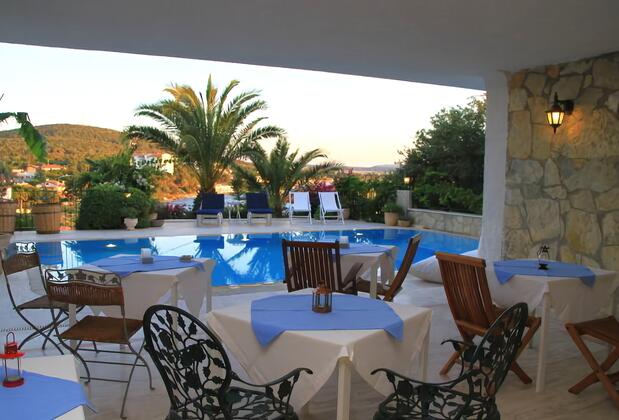 Limonlu Ev Ardıç - Görsel 27